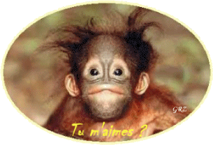 Ty m' aimes?